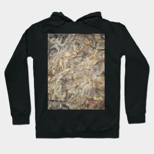 Geology Hoodie